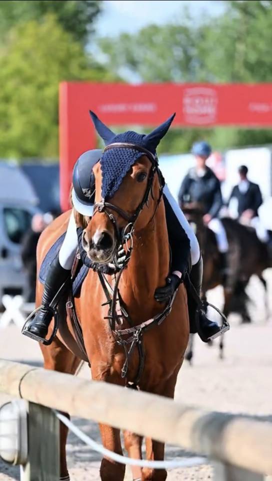   ⭐ Top Sportmerrie Te Koop | Herm&egrave;s Et Clair&egrave; 
