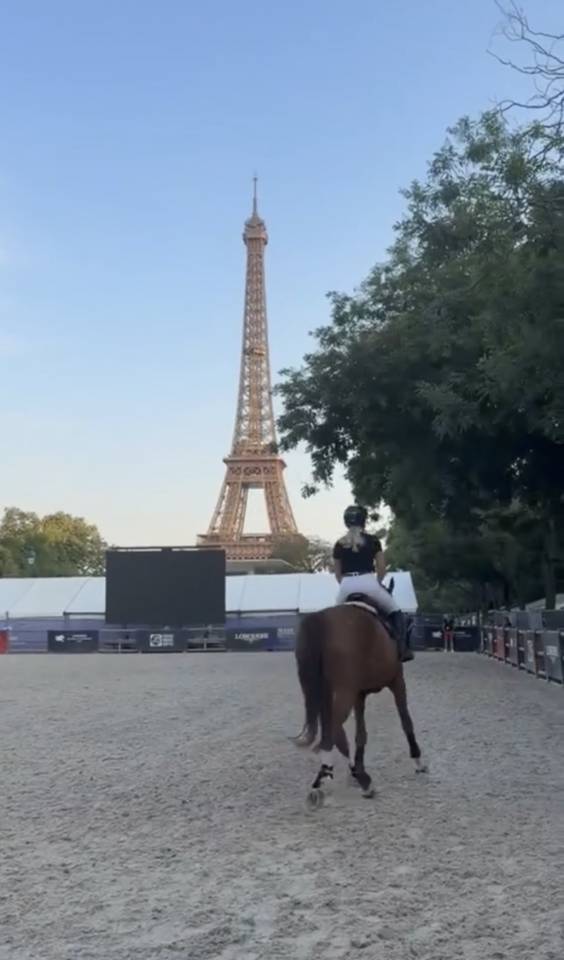   ⭐ Top Sportmerrie Te Koop | Herm&egrave;s Et Clair&egrave; 