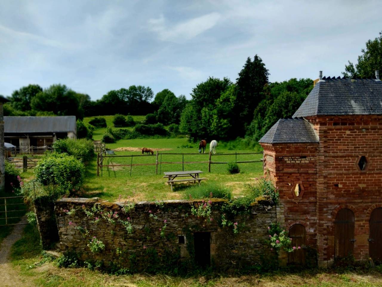 Eigenaren stal Koop Mayenne