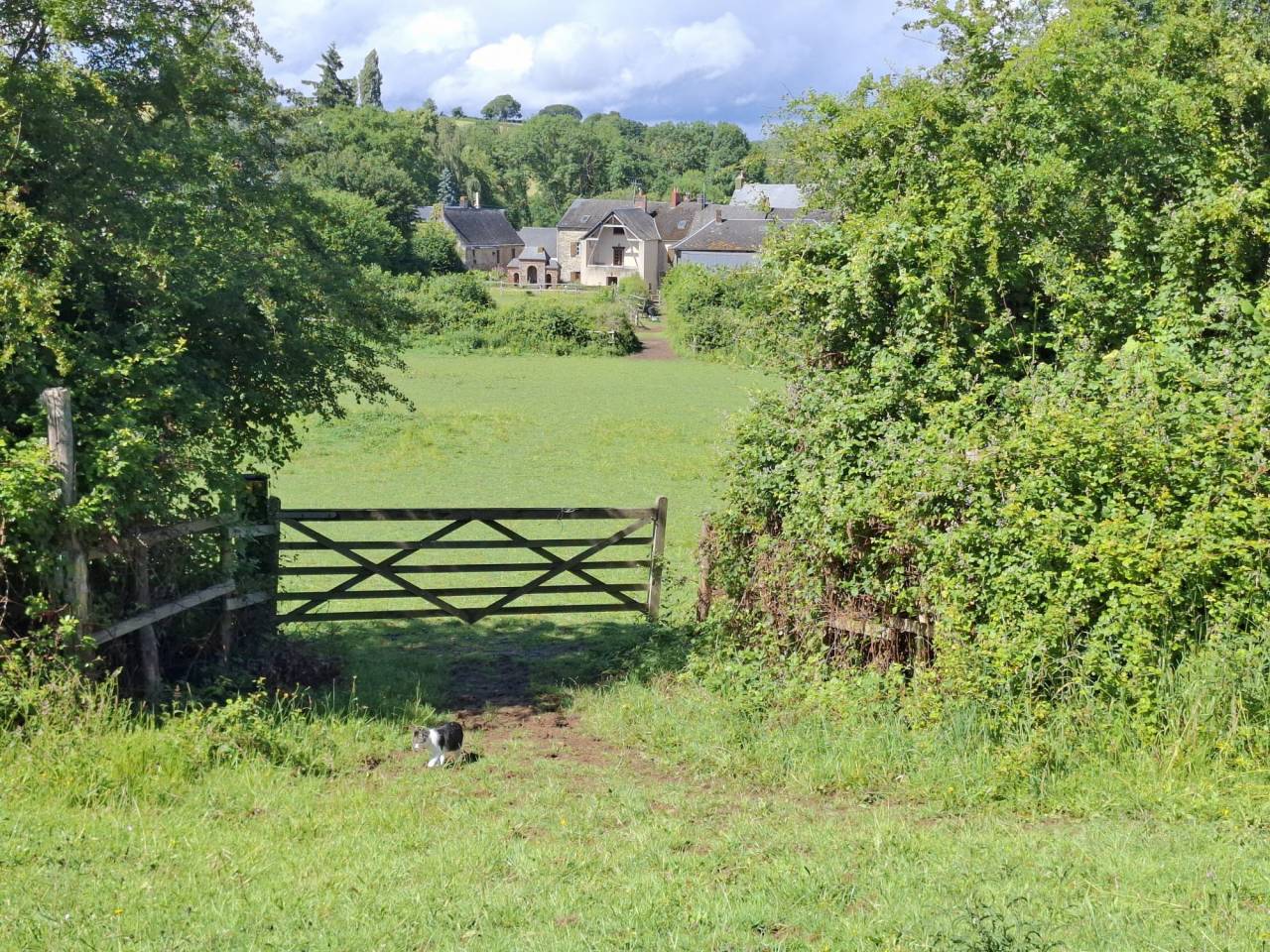 Eigenaren stal Koop Mayenne
