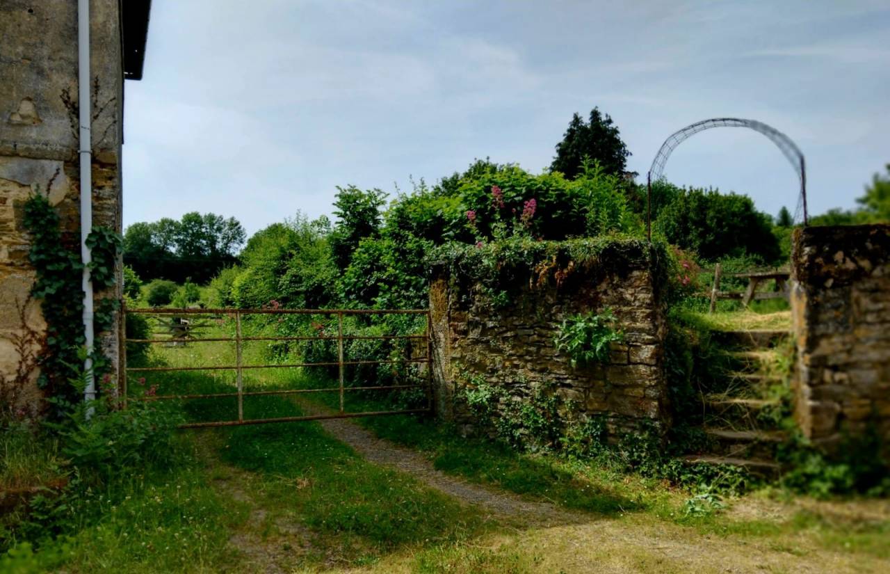 Eigenaren stal Koop Mayenne