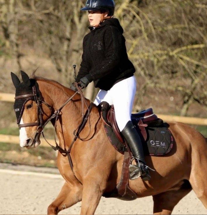 Merrie Franse rijpony PFS Te koop 2018 Vos
