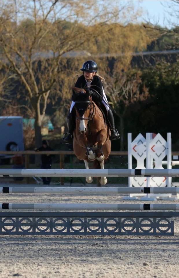Merrie Franse rijpony PFS Te koop 2018 Vos