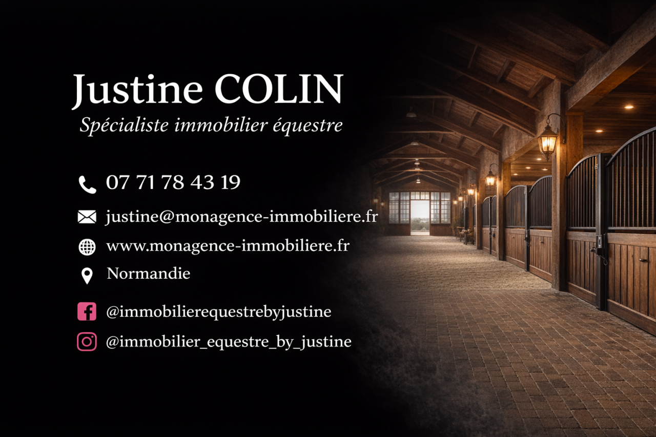 Stoeterij Koop Paris