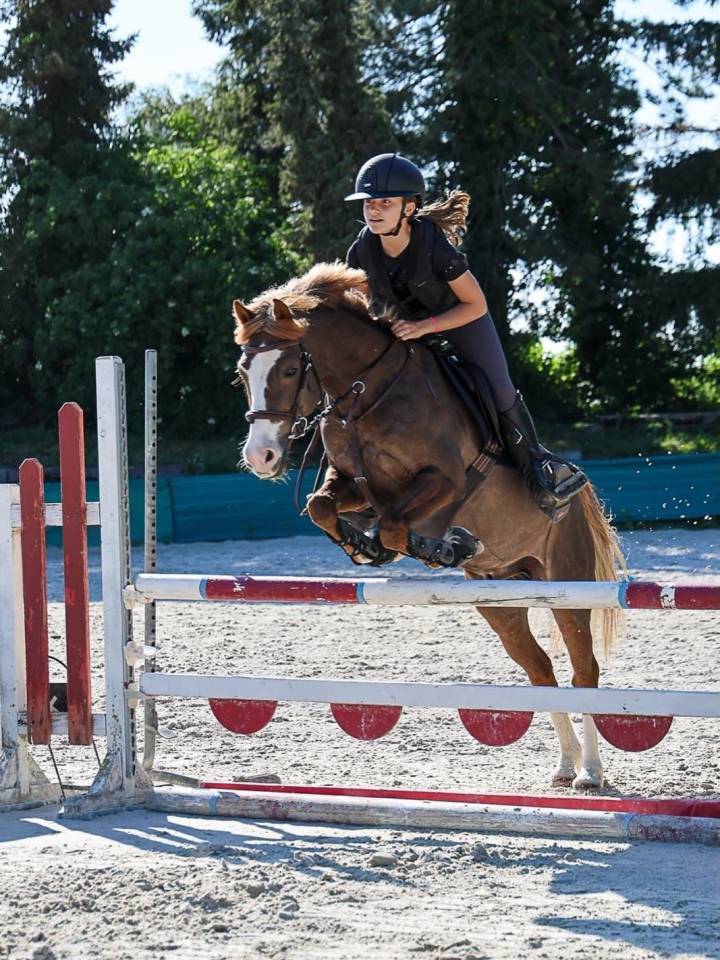 Ruin Franse rijpony PFS Te leen 2015 Vos