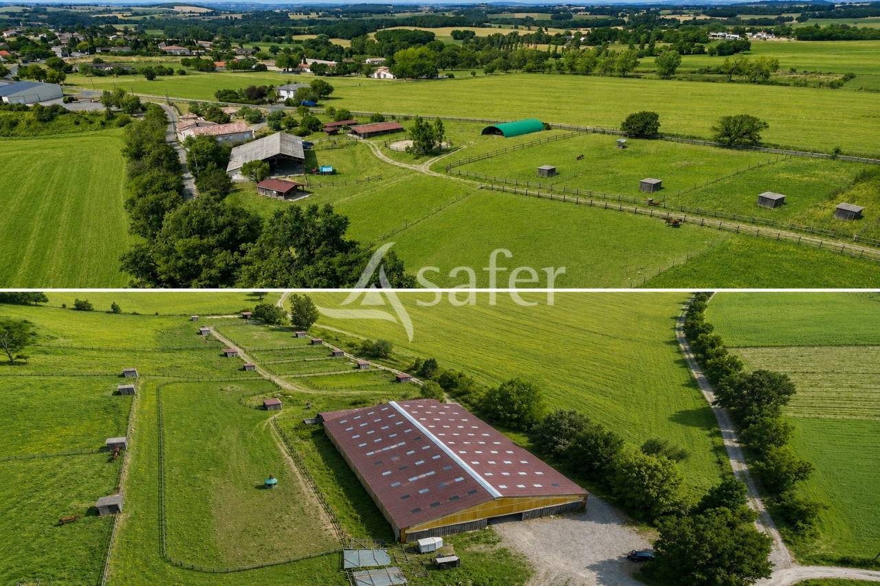 Hippisch vastgoed Koop tarn