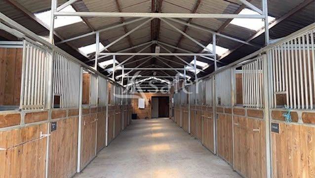 Hippisch vastgoed Koop tarn