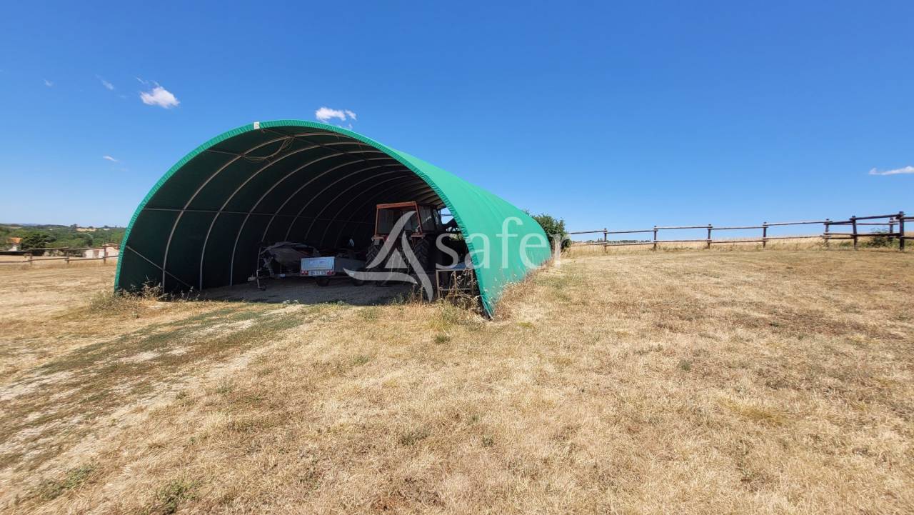 Hippisch vastgoed Koop tarn