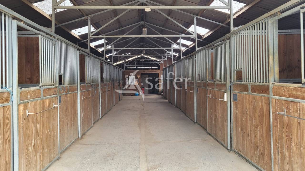 Hippisch vastgoed Koop tarn