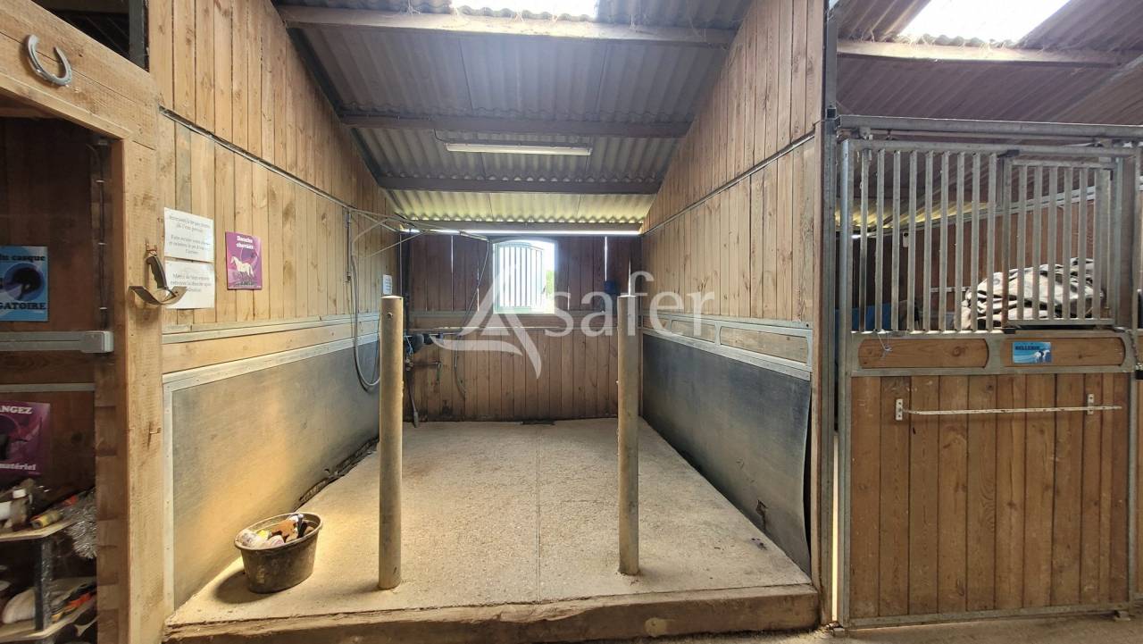 Hippisch vastgoed Koop tarn