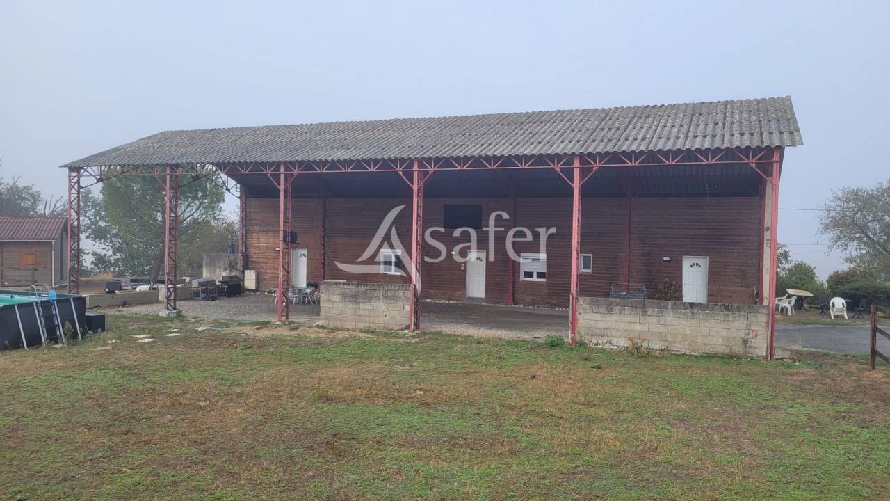 Hippisch vastgoed Koop tarn