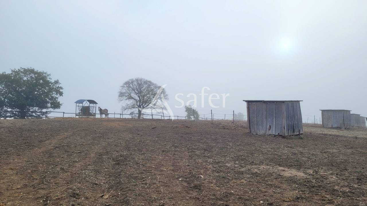 Hippisch vastgoed Koop tarn