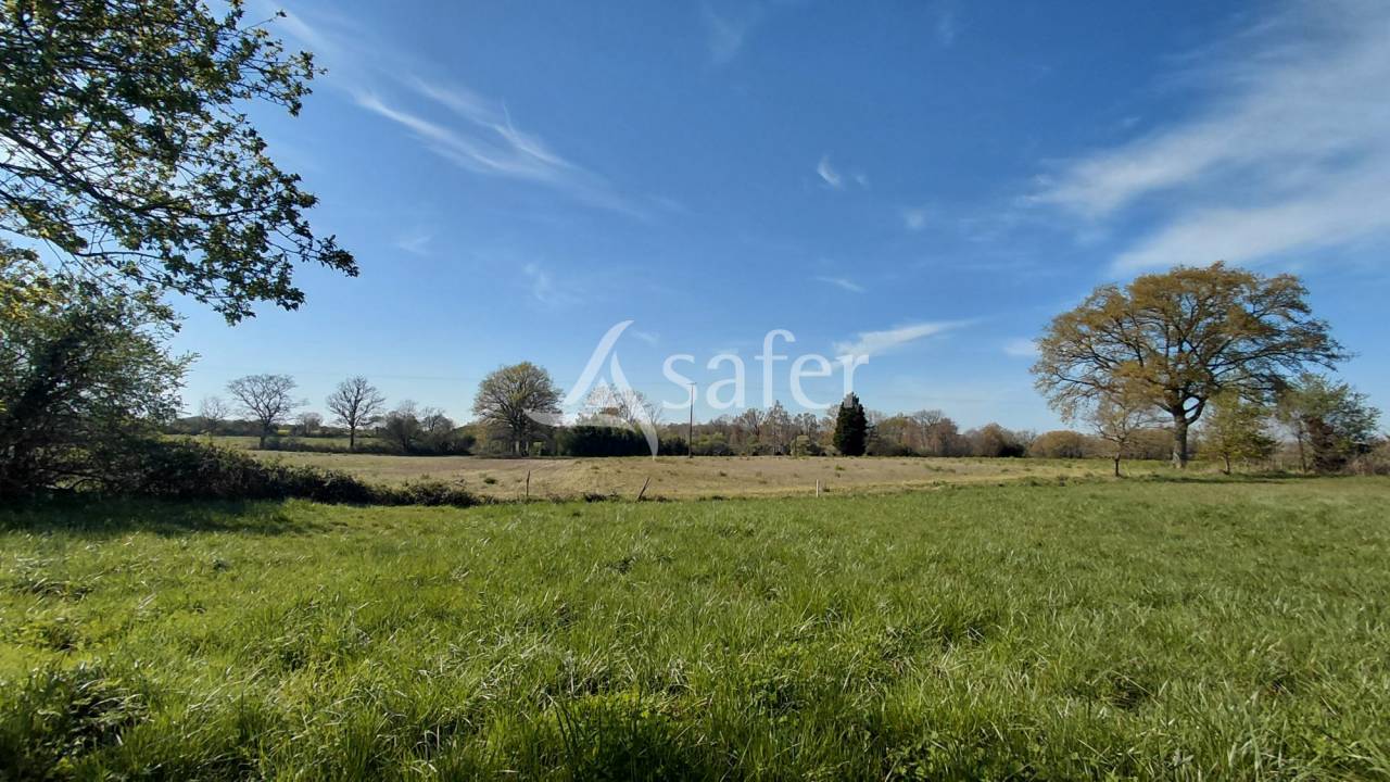 Landbouw bedrijf Koop Vienne