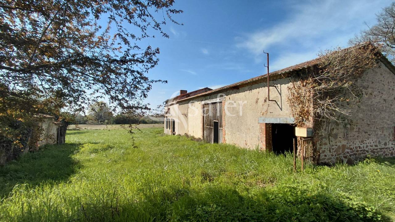 Landbouw bedrijf Koop Vienne