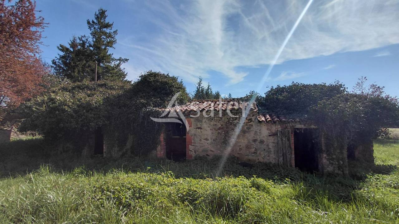 Landbouw bedrijf Koop Vienne