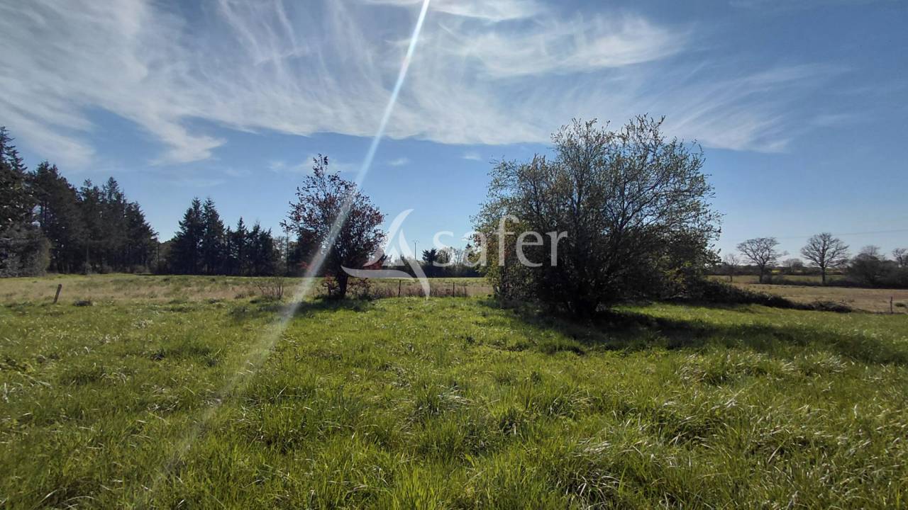 Landbouw bedrijf Koop Vienne