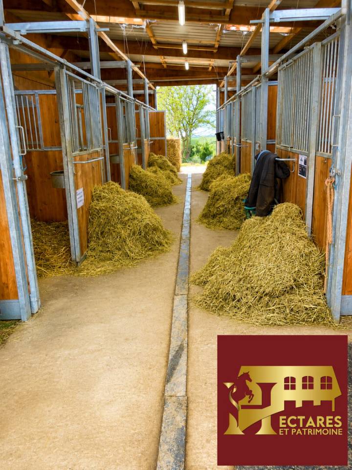 Eigenaren stal Koop Loire-Atlantique
