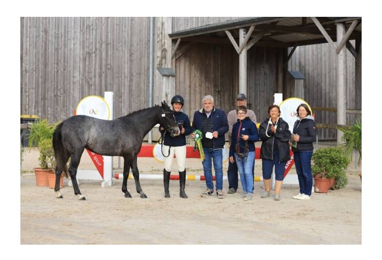 Veulen (vr) Franse rijpony PFS Te koop 2023 Schimmel