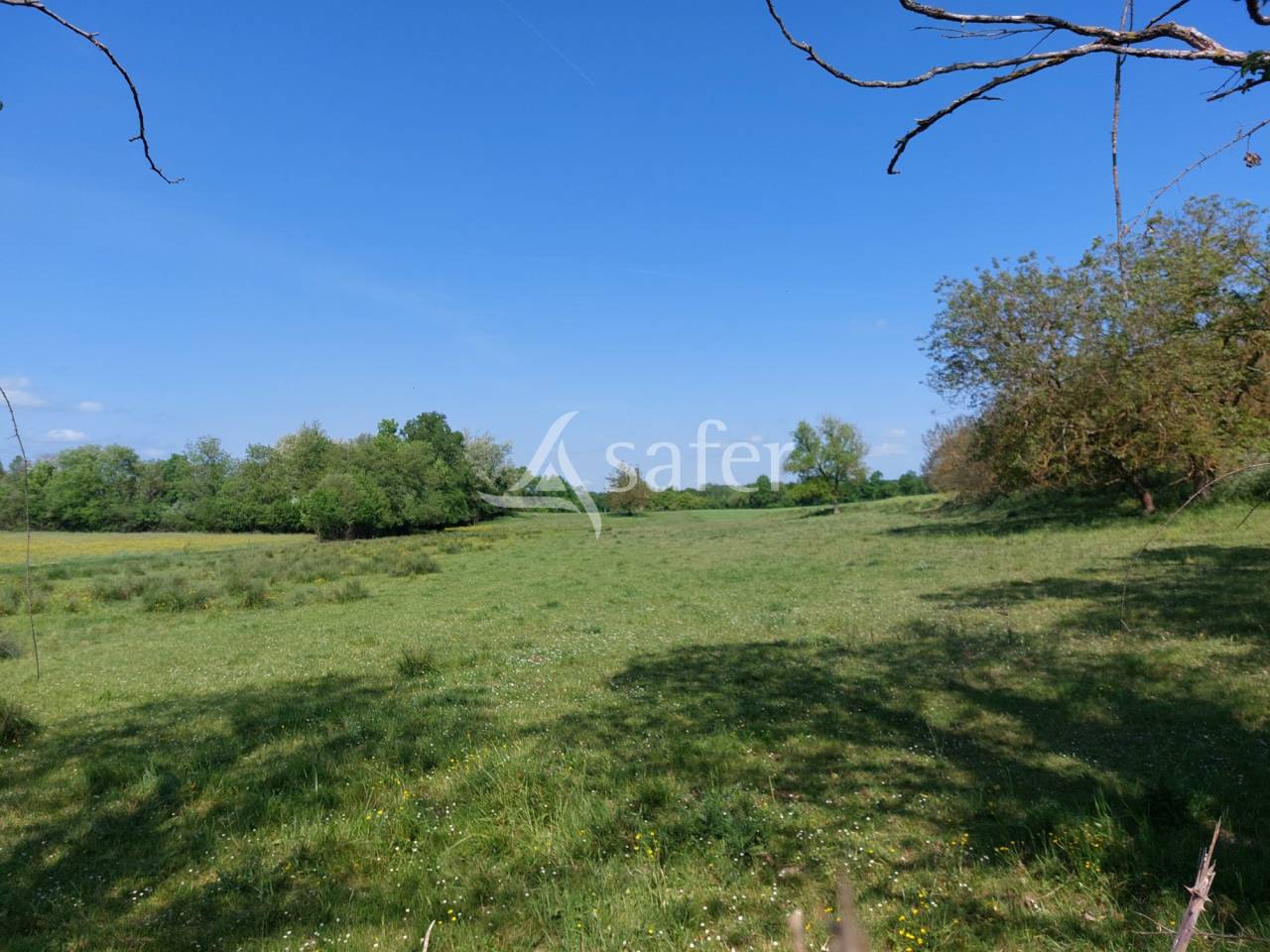 Schapen exploitatie Koop Dordogne