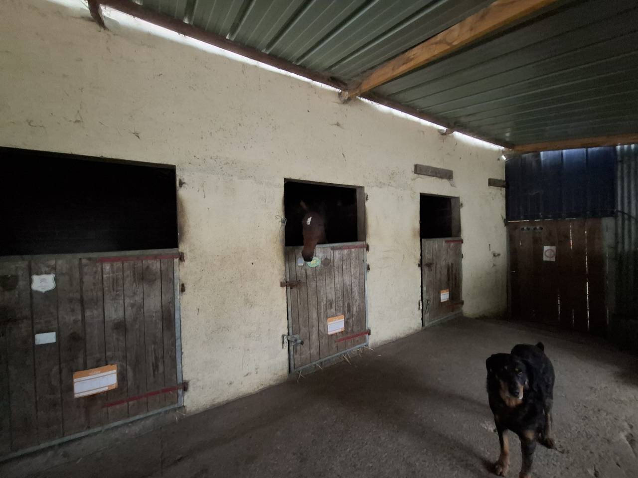 Eigenaren stal Koop Sarthe