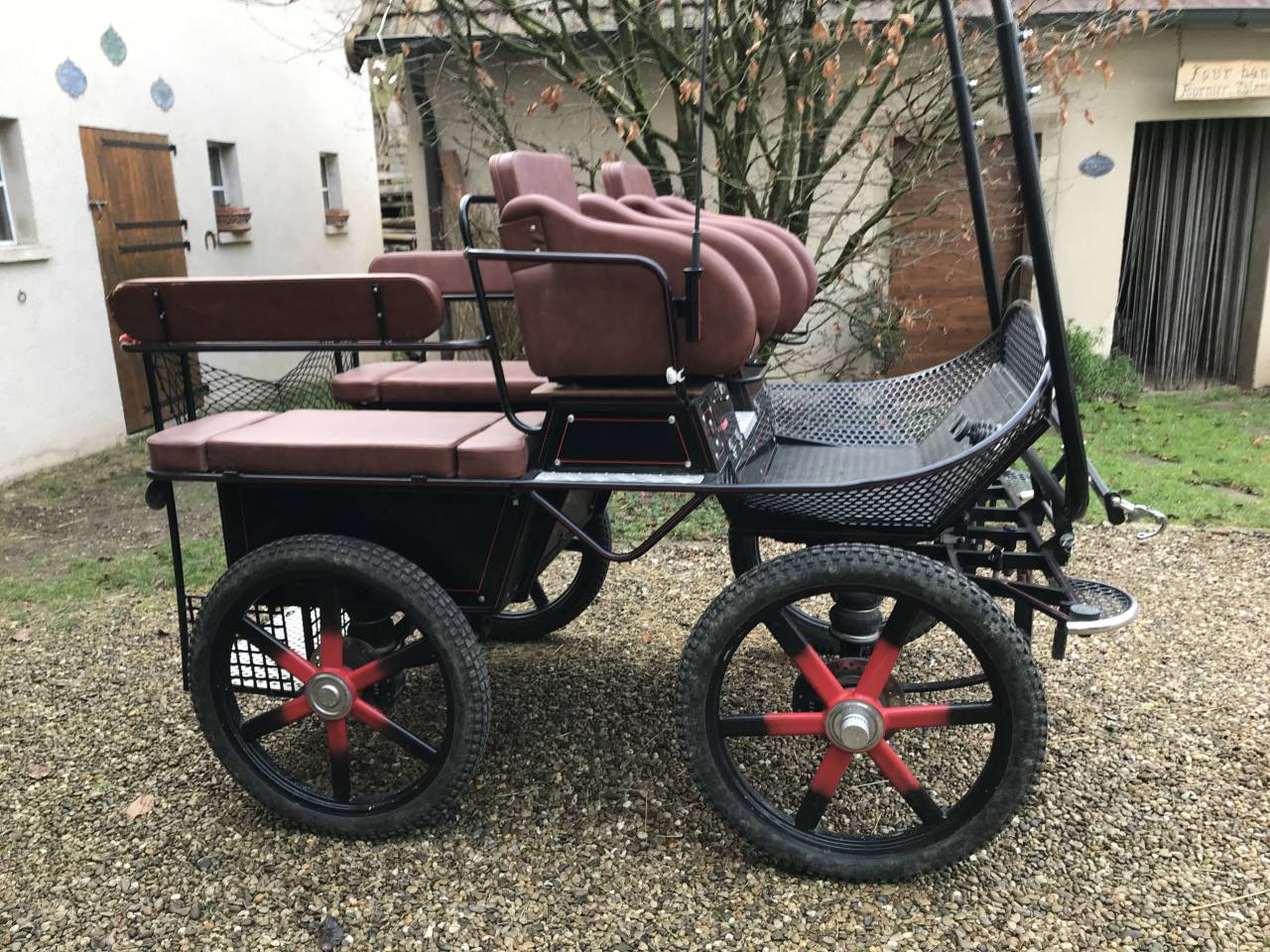 Ruin Andere paarden rassen Te koop 2009 Schimmel