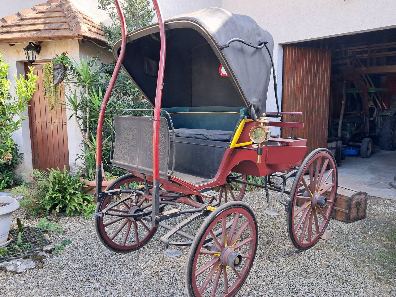 Ruin Andere paarden rassen Te koop 2009 Schimmel