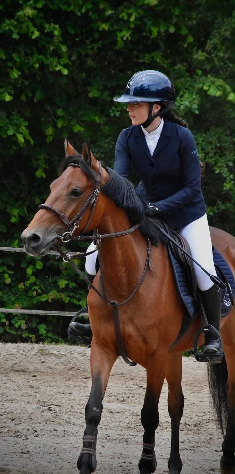 Merrie Andere pony rassen Te koop 2021 Donker bruin / bai