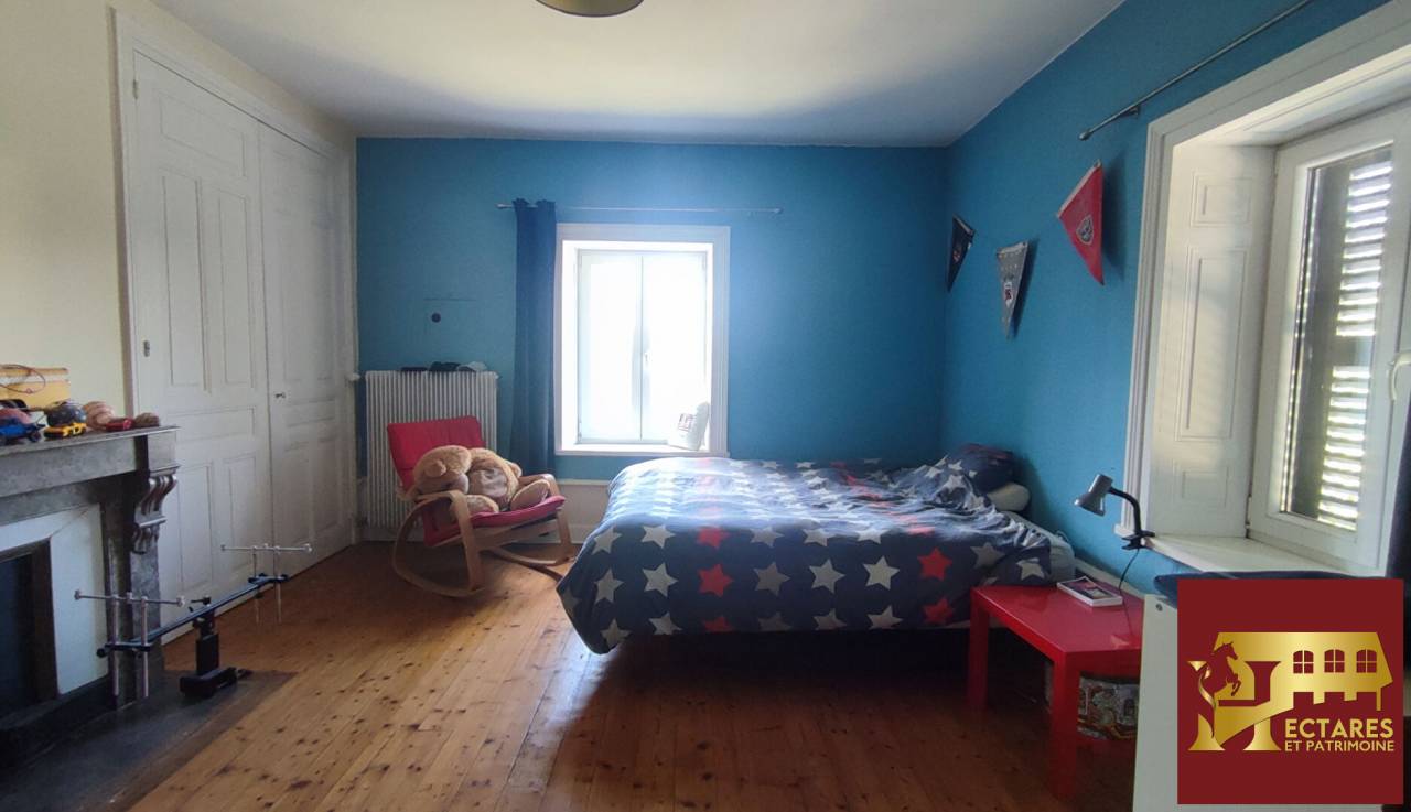 Paarden accommodatie Koop Ain