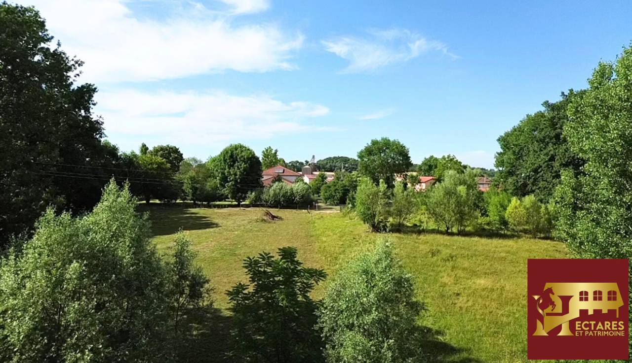 Paarden accommodatie Koop Ain
