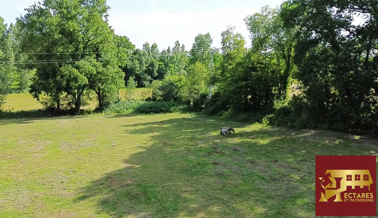 Paarden accommodatie Koop Ain
