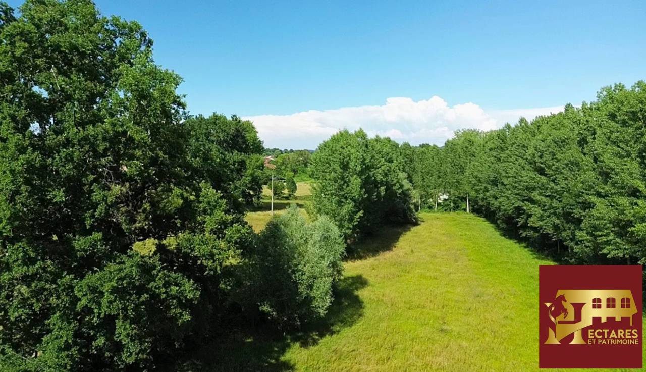 Paarden accommodatie Koop Ain