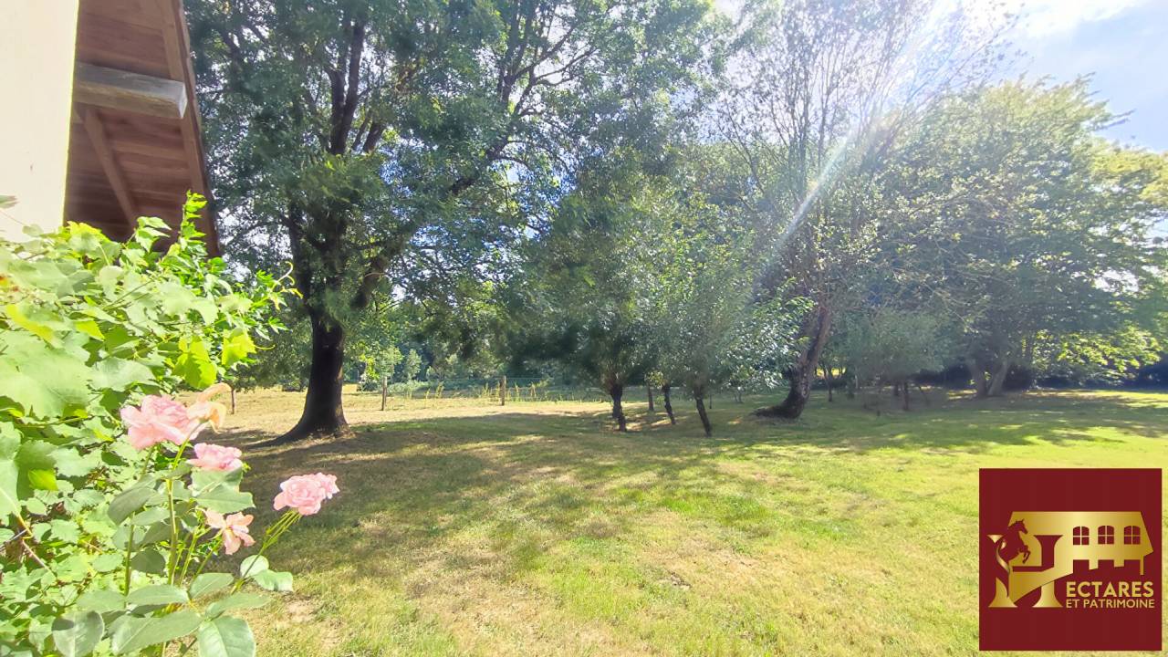Paarden accommodatie Koop Ain