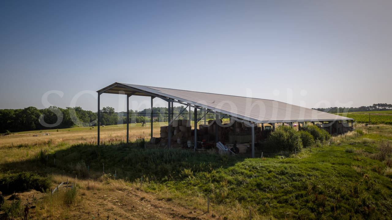 Landbouw bedrijf Koop Gironde