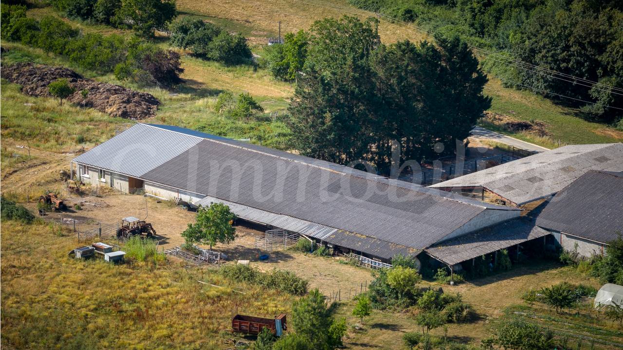 Landbouw bedrijf Koop Gironde