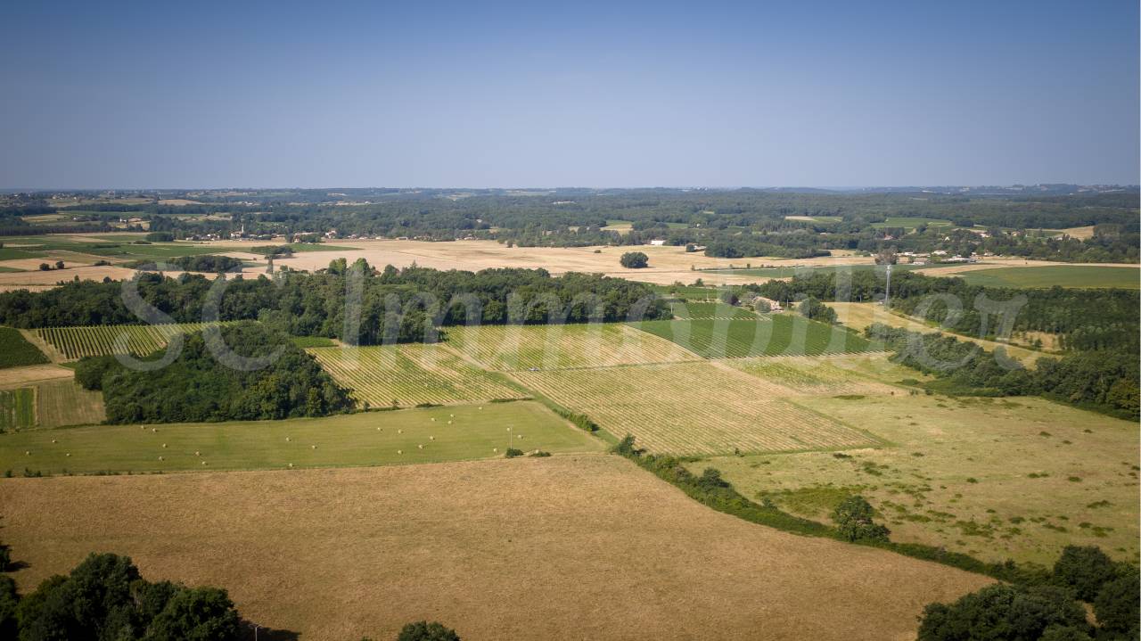 Landbouw bedrijf Koop Gironde