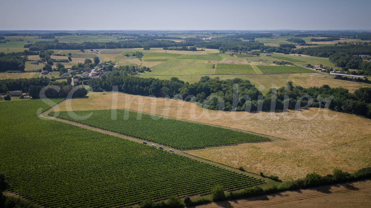 Landbouw bedrijf Koop Gironde