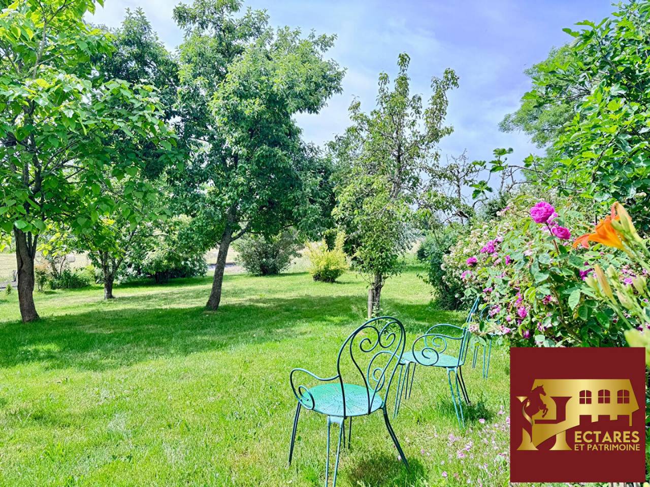 Paarden accommodatie Koop Sa&ocirc;ne-et-Loire