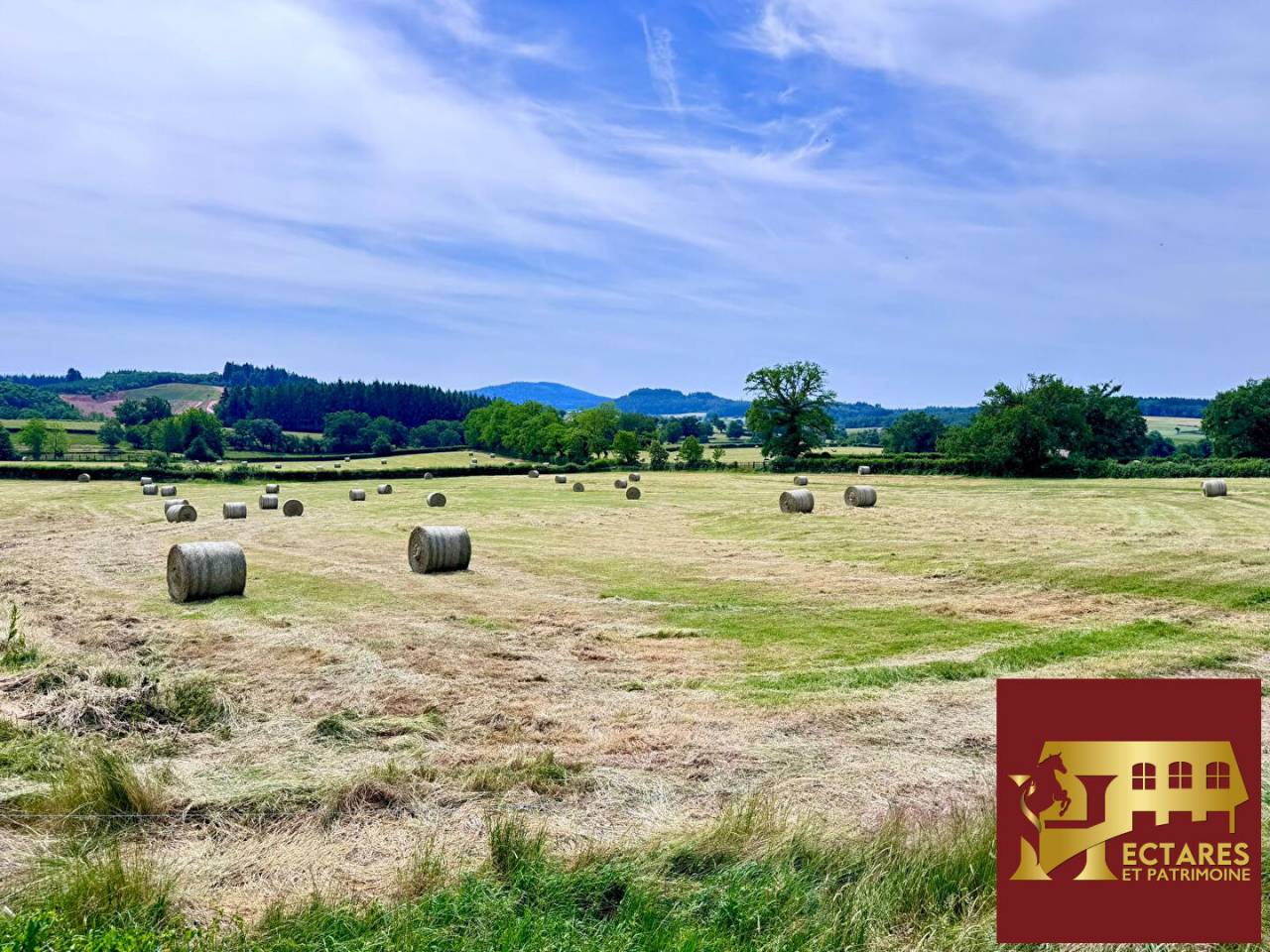 Paarden accommodatie Koop Sa&ocirc;ne-et-Loire