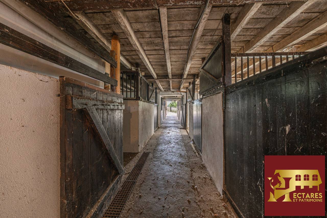 Paarden accommodatie Koop Sa&ocirc;ne-et-Loire