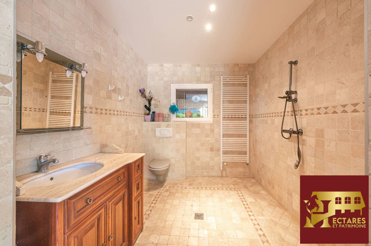 Paarden accommodatie Koop Sa&ocirc;ne-et-Loire