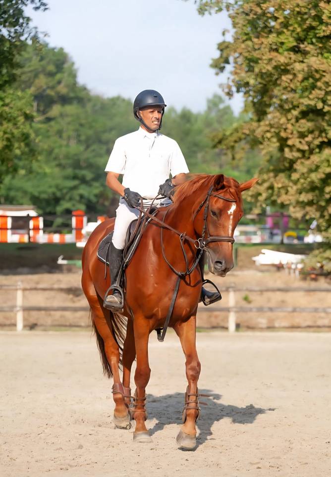 Ruin Selle Fran&ccedil;ais Te koop 2018 Vos ,  KERBA D AUZAY