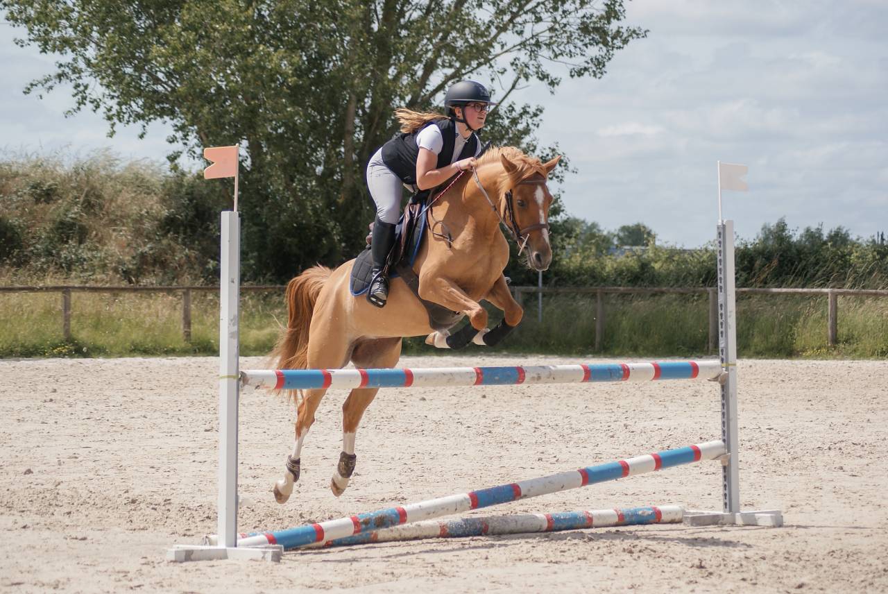 Merrie Franse rijpony PFS Te koop 2021 Vos ,  Ulk d&rsquo;ete