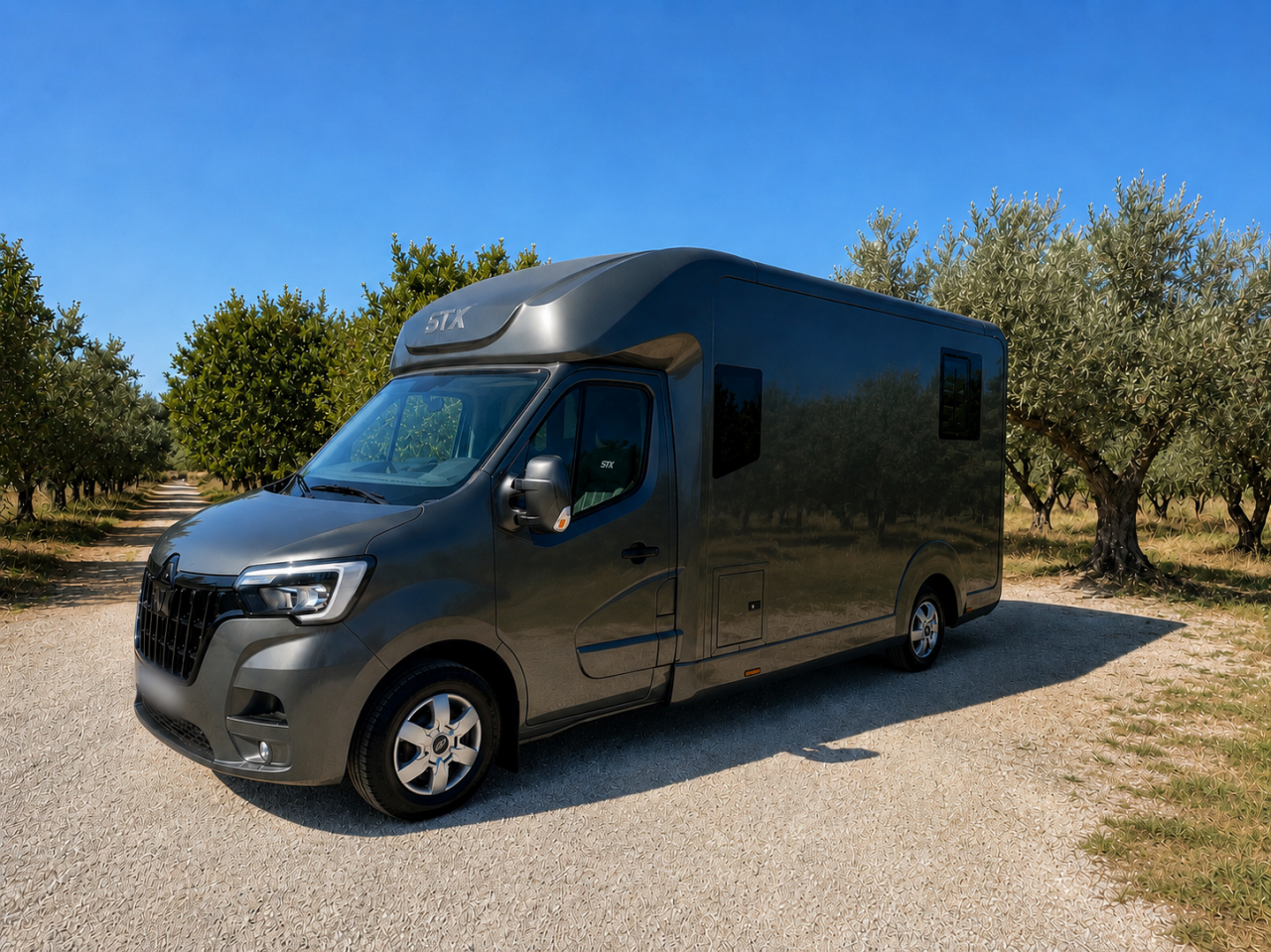 Kleine paardenvrachtwagen (B rijbewijs) STX STX HARAS RALLONGE 2025 Tweedehands