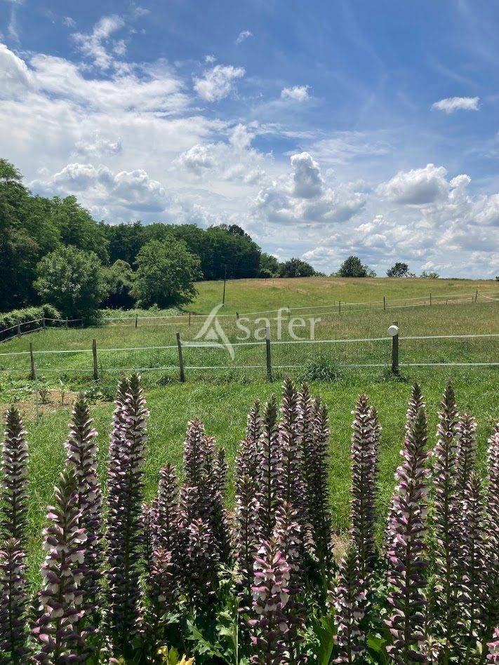 Ander plattelands vastgoed Koop Landes