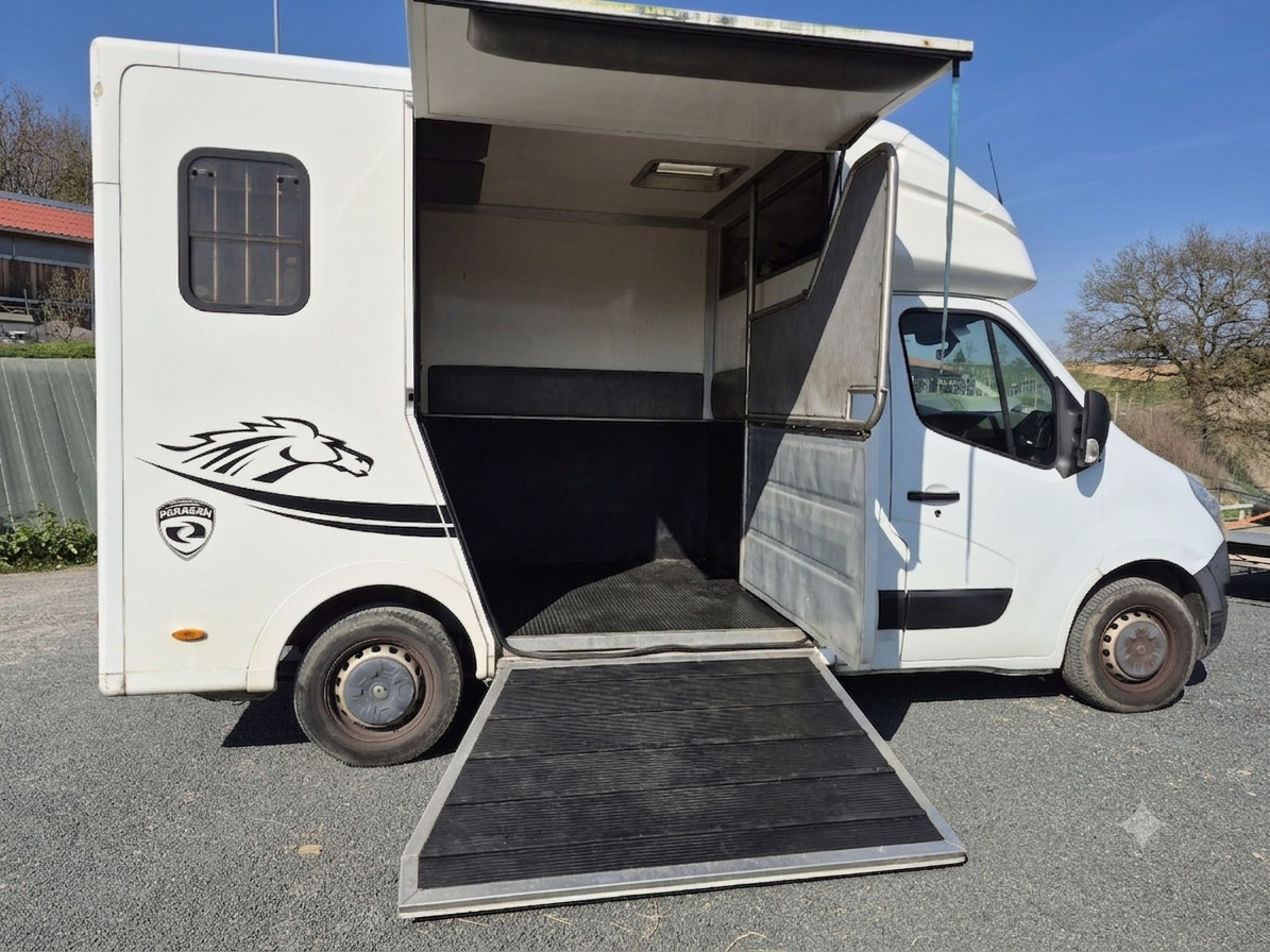 Kleine paardenvrachtwagen (B rijbewijs) Paragan  2013 Tweedehands