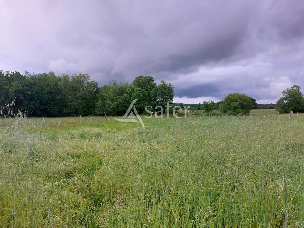 Landbouw bedrijf Koop Dordogne