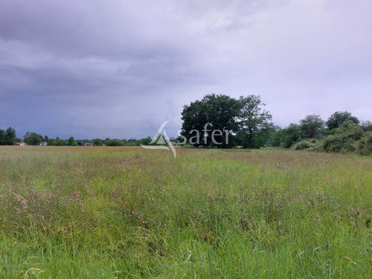Landbouw bedrijf Koop Dordogne