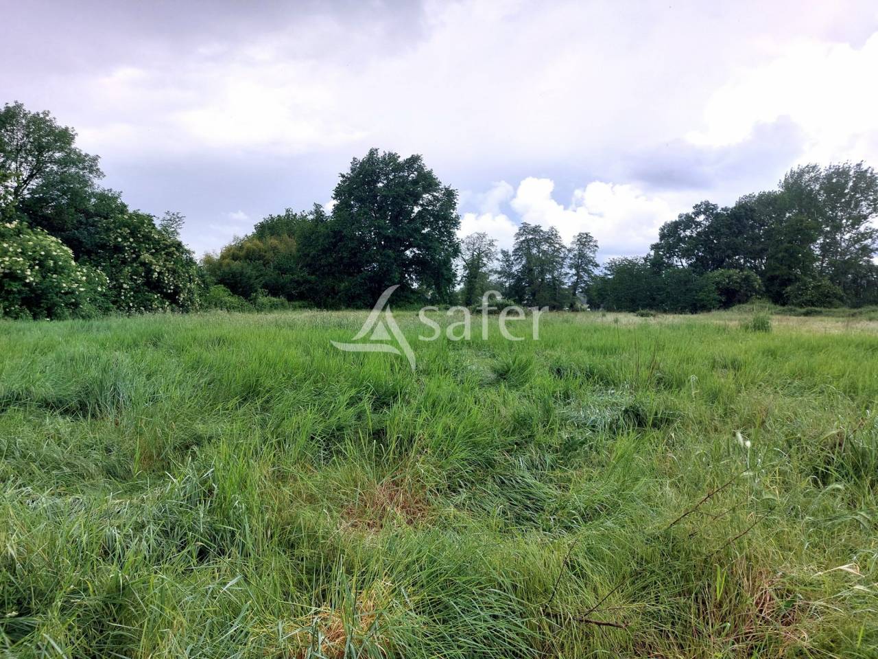 Landbouw bedrijf Koop Dordogne