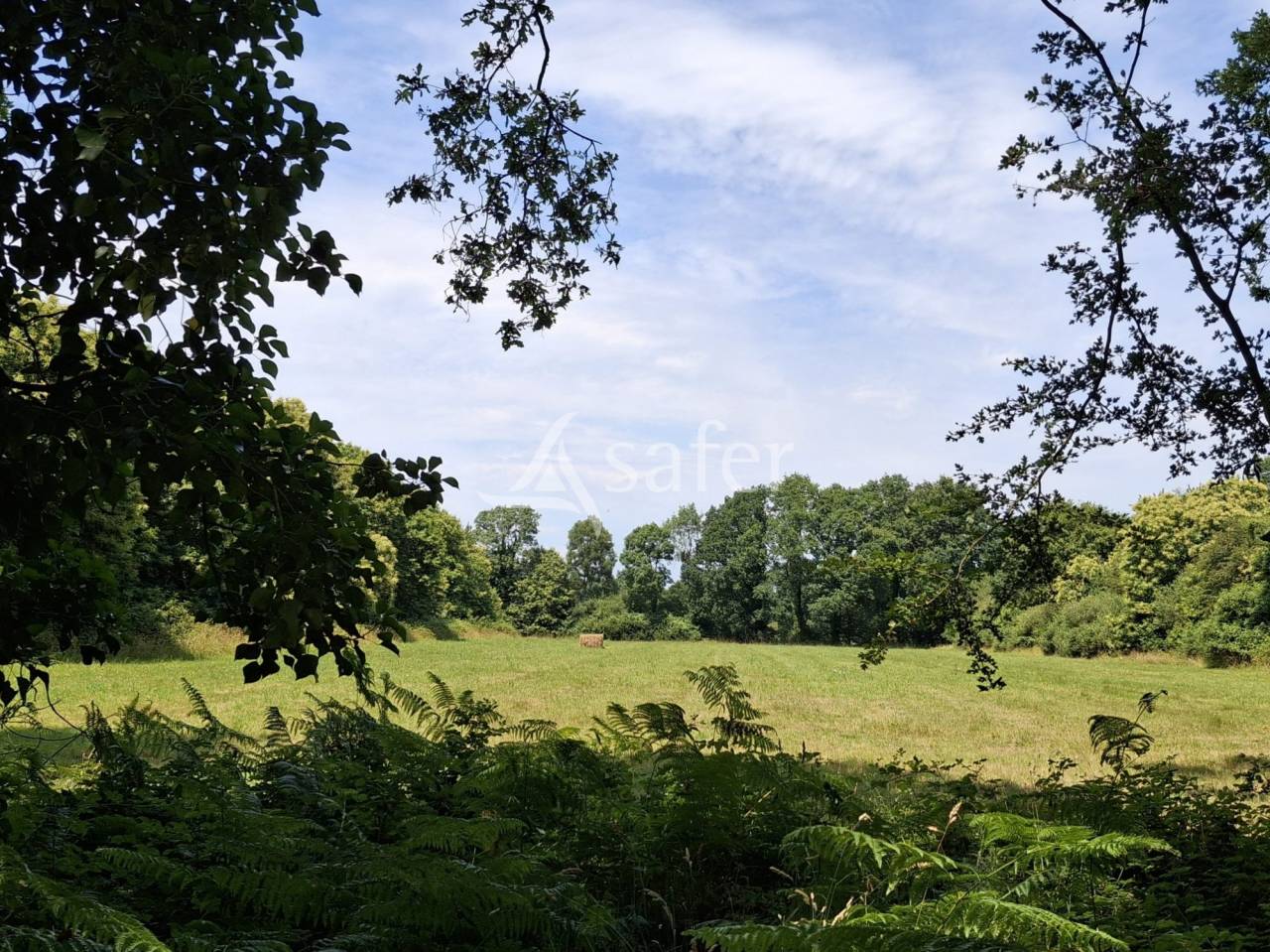 Ander plattelands vastgoed Koop Loire-Atlantique