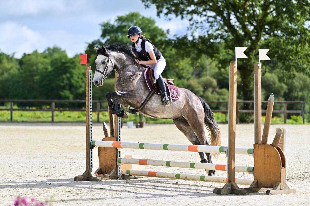 Ruin Franse rijpony PFS Te koop 2021 Schimmel